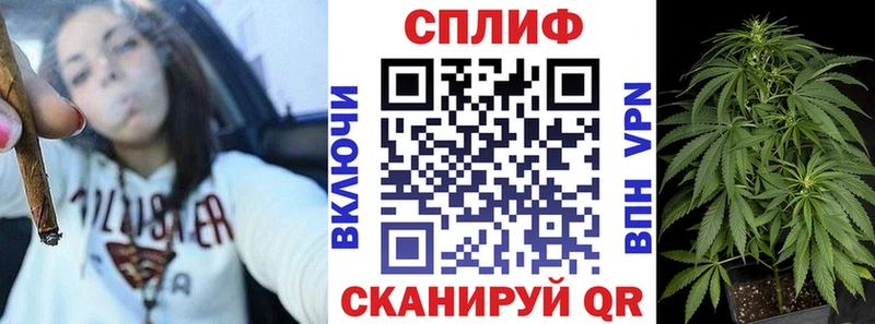 Купить где  Рязань  Конопля план 